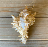 Gold Leaf Shell Ornament