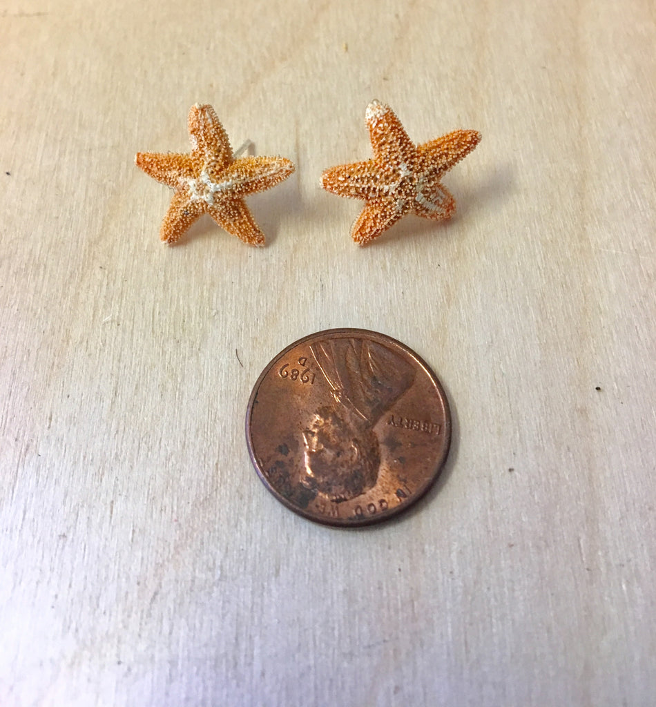 Starfish Stud Earrings