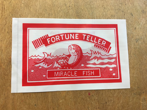 Fortune Fish Toy