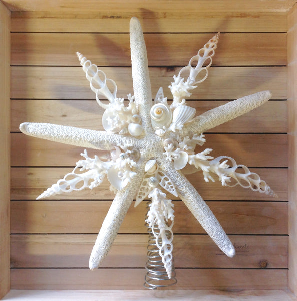 White Seashell Star Tree Top – Sea Things Ventura