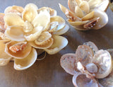 Seashell Wall Flower