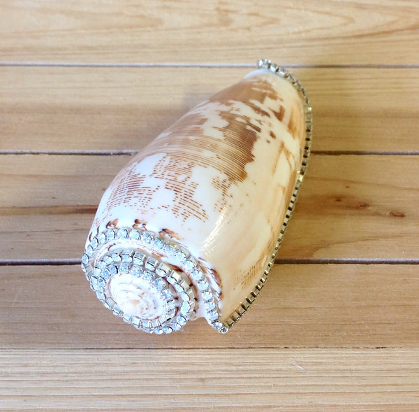 Jeweled Shells Sea Things Ventura