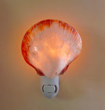 Spondylus Clamshell LED Nightlight