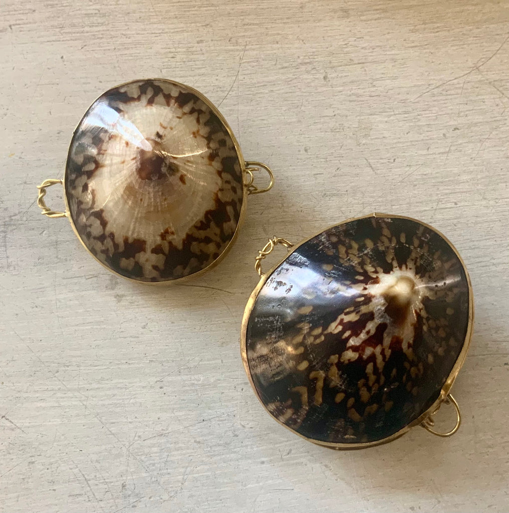Seashell Coin Purse