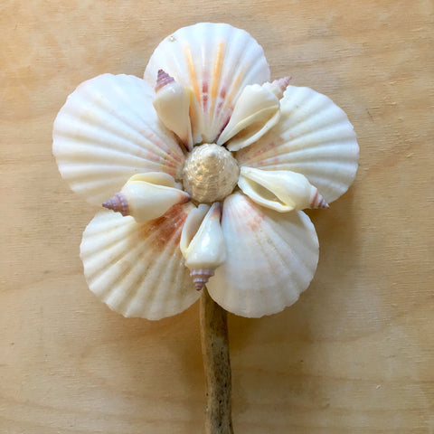 White Clam Shell Flower