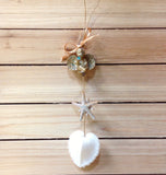 Cherub Starfish Heart Cockle Ornament