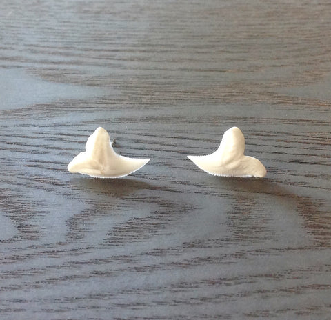Shark Tooth Stud Earrings