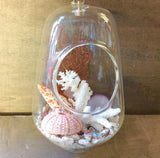 Seashell Hanging Terrarium
