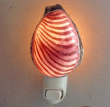 Carved Cowrie Shell Nightlight