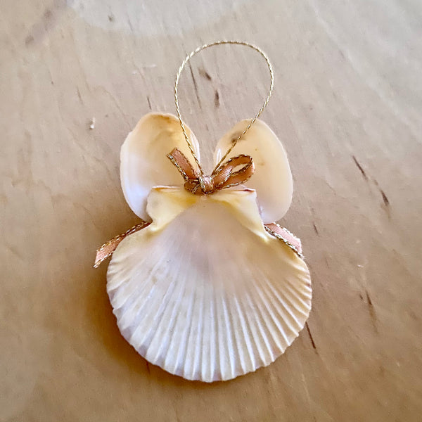 Sunset Shell Angel – Sea Things Ventura