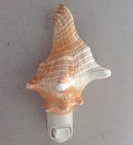 Fox Shell Nightlight