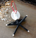 Jack Starfish Ornament