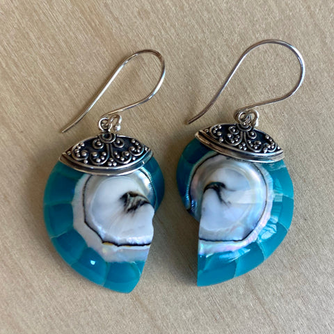 Turquoise Nautilus Shell Earrings