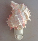 Pink Murex Shell Nightlight