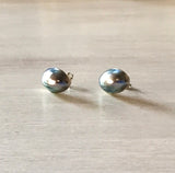 Blue Pearl Nautilus Stud Earrings