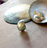Nautilus Ring