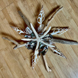 Abalone Driftwood Star Wall Decor