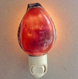 Carved Cowrie Shell Nightlight