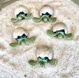 Hatching Turtle Egg
