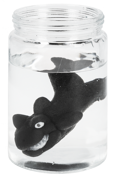 Grow a Shark