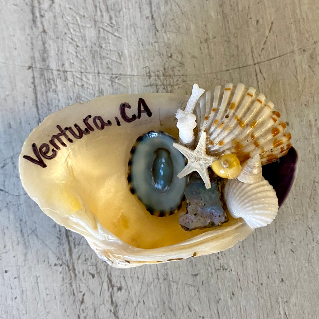 Shell Art Magnet
