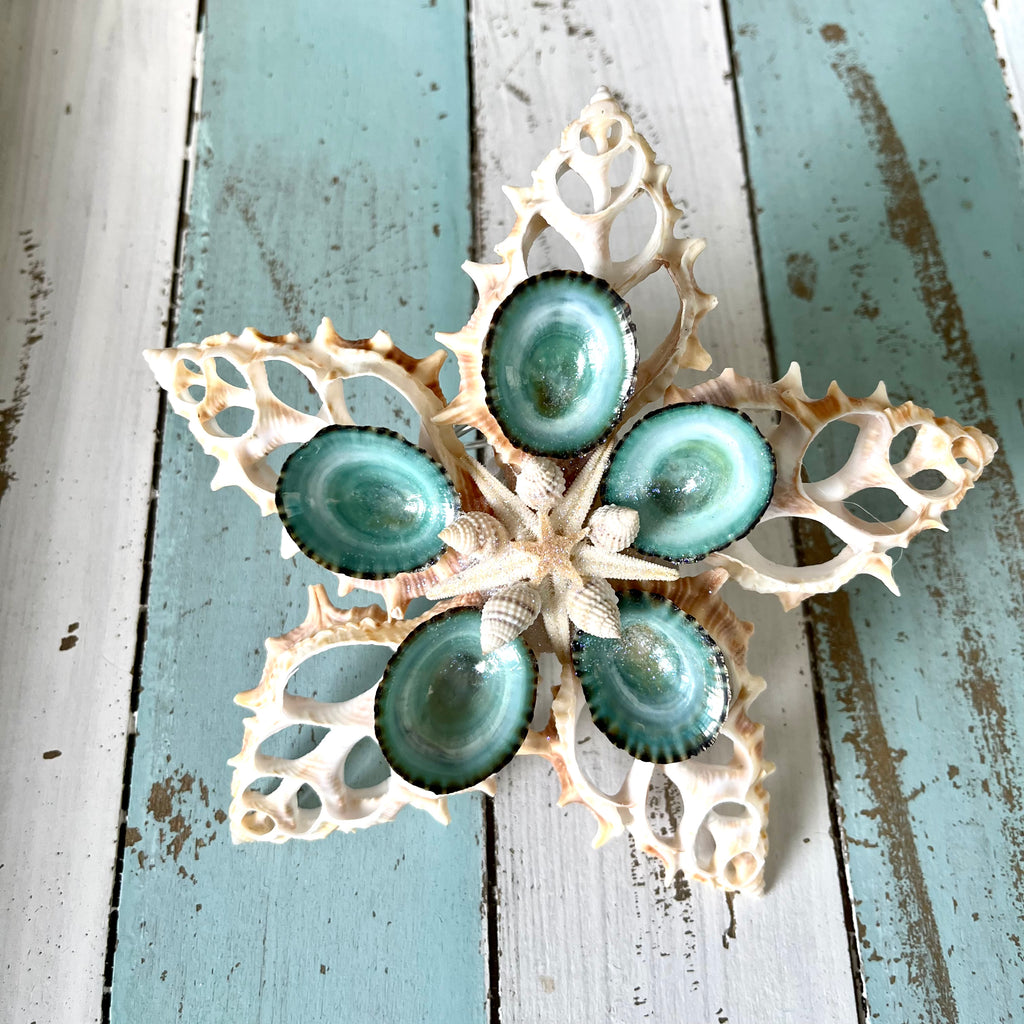 Blue Limpet Star Tree Top