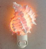 Pink Murex Shell Nightlight