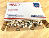 Box of Seashells