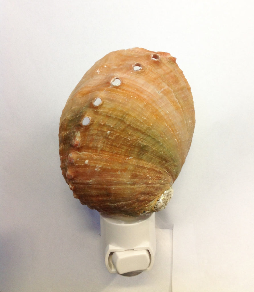 Abalone Shell Nightlight