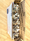 Box of Seashells
