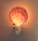 Colorful Scallop Shell Nightlight