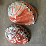 Polished Large Red Abalone Shell