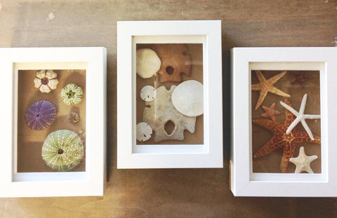 Shadow Box Treasures