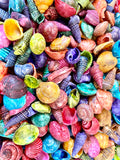 Box of Seashells