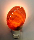 Abalone Shell Nightlight