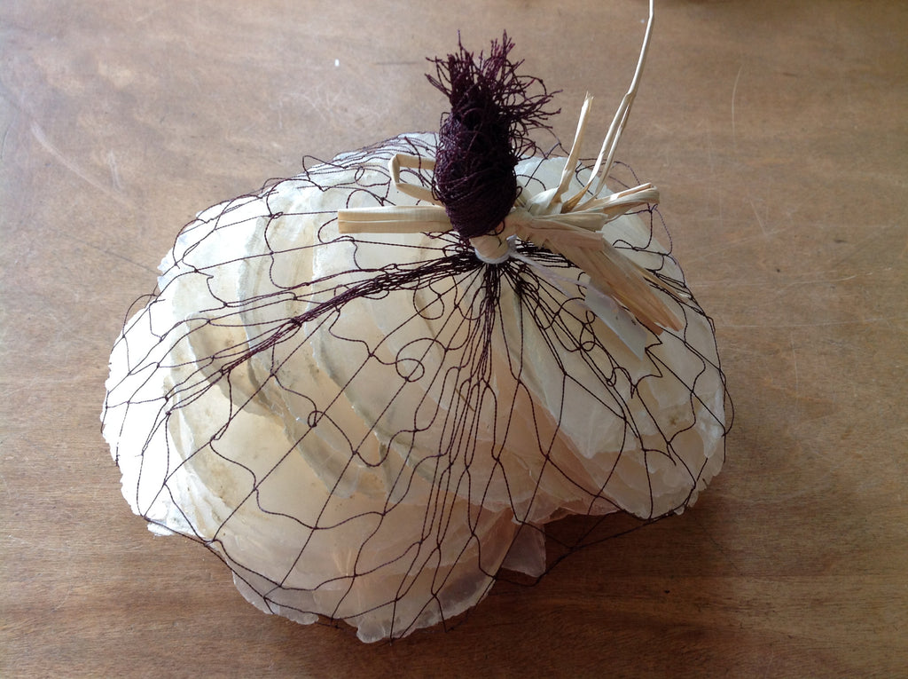Capiz Shell Pack