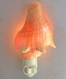 Orange Conch Nightlight