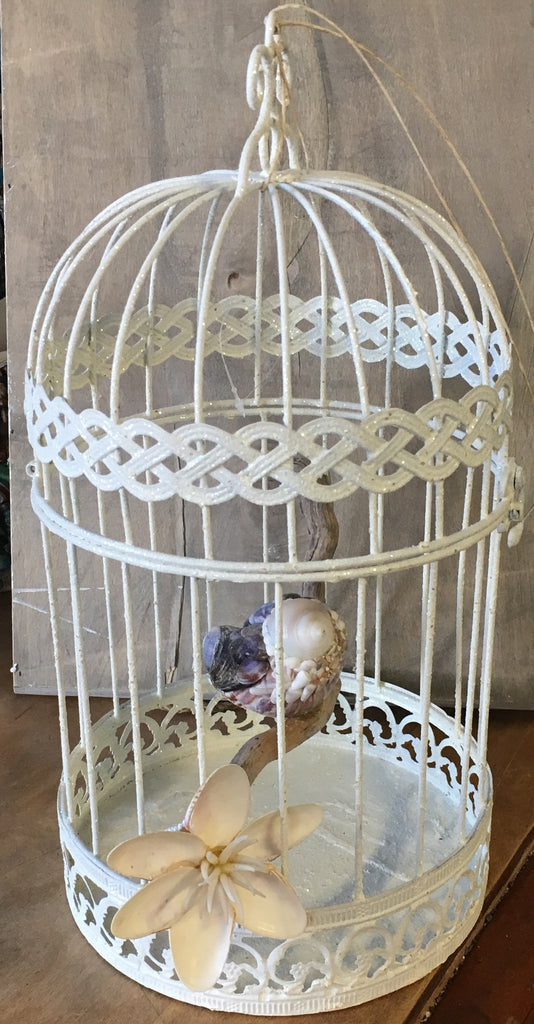 Seahell Little Birdy