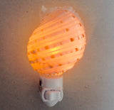 Tonna Shell Nightlight