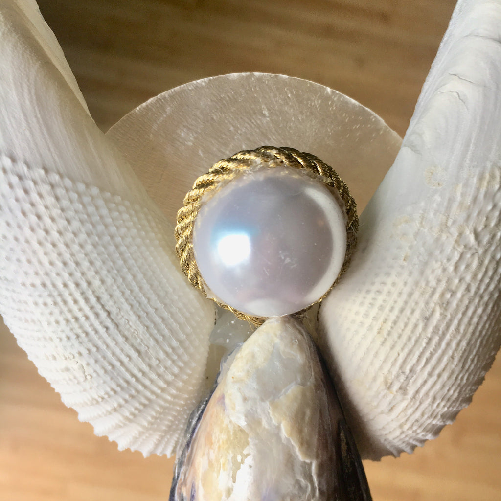 Mussel Angel Tree Top
