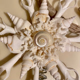 White Seashell Star Tree Top