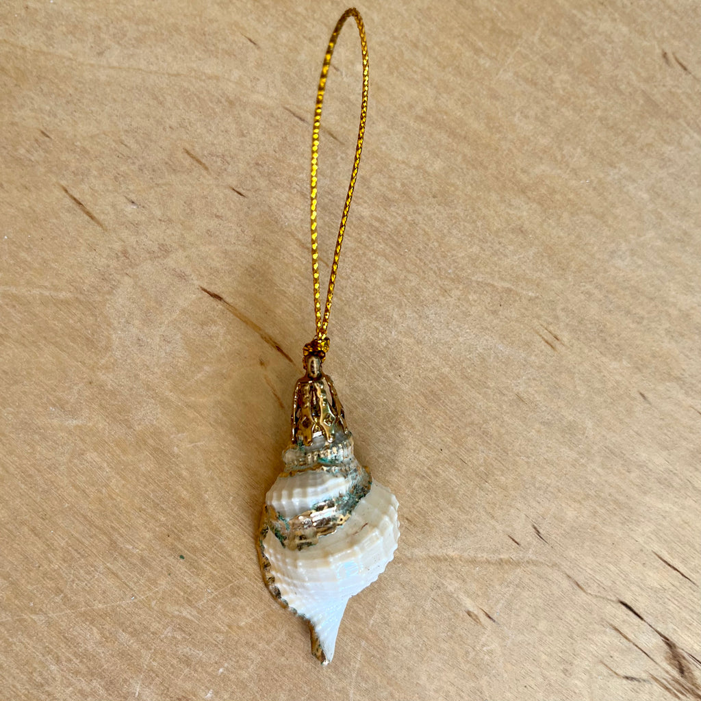 Gold Trim Seashell Ornament