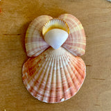 Sunset Shell Angel