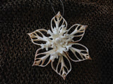 Snowflake Coral Star Shell Ornament