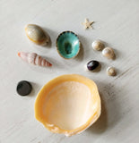 Seashell Nativity Magnet Crafting Box