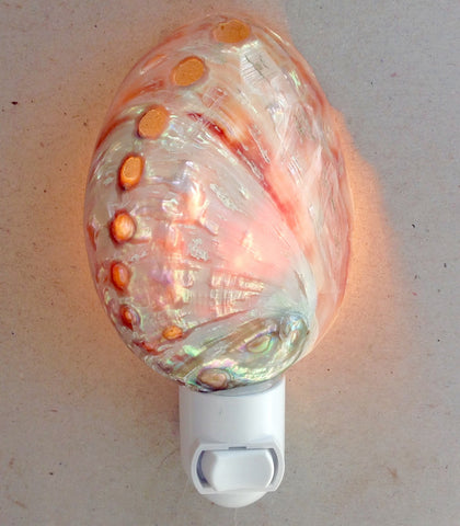 Abalone Shell Nightlight