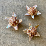 Sundial Star Shell Magnet