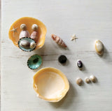Seashell Nativity Magnet Crafting Box