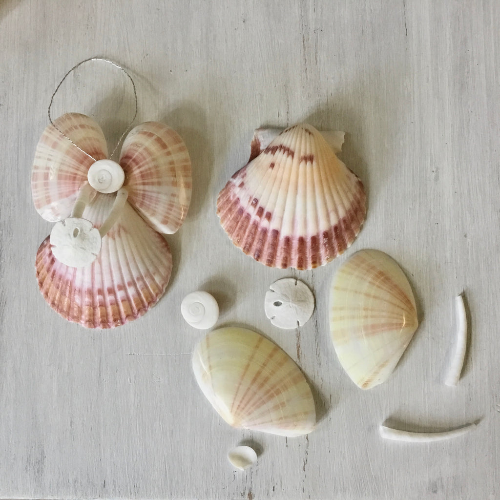 Sand Dollar Angel Craft Box