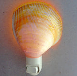 Cockle Shell Nightlight